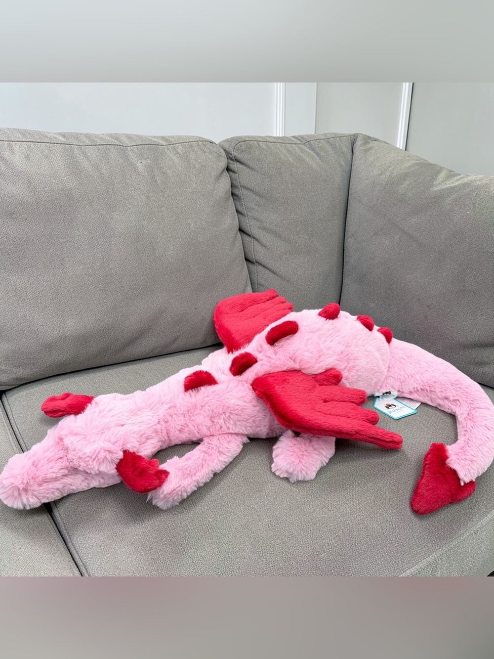 ♥️𝐀𝐔𝐓𝐇𝐄𝐍𝐓𝐈𝐂 𝐉𝐞𝐥𝐥𝐲𝐜𝐚𝐭 𝐇𝐞𝐚𝐫𝐭 𝐃𝐫𝐚𝐠𝐨𝐧♥️